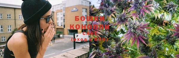 сатива Белоозёрский