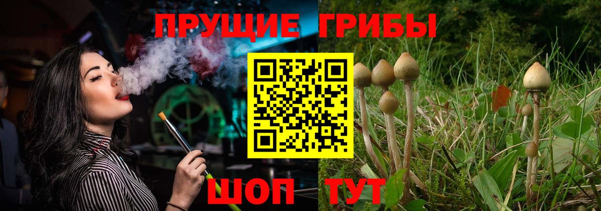 Галлюциногенные грибы GOLDEN TEACHER Гусев