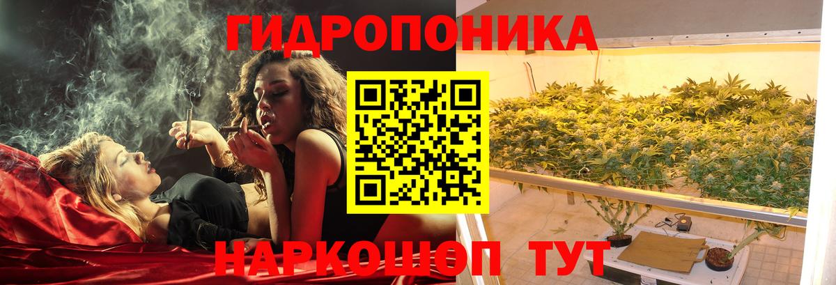 ГАШ  Вход с VPN  Каннабис  Гусев  Меф   Cocaine  МДМА 